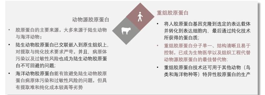 特色图表