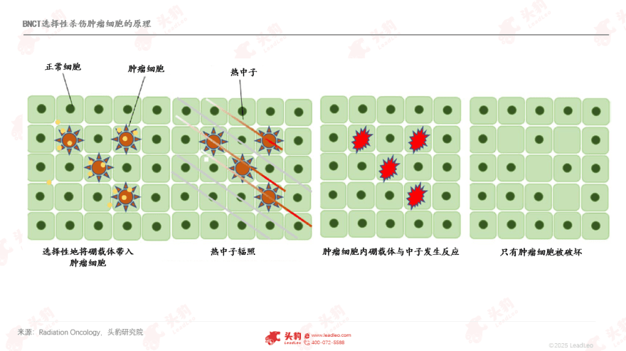 特色图表