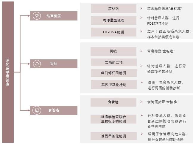 特色图表