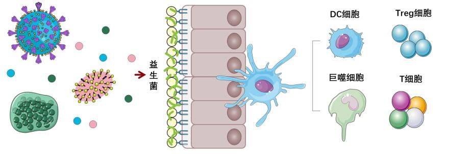 特色图表